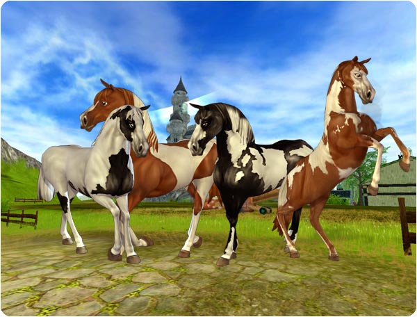 De vackra Amerikanska Paint-hästarna!