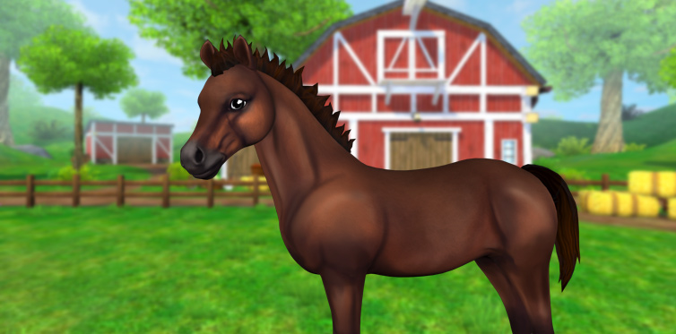Vi vill veta vilka drÃ¶mfÃ¶l ni skulle vilja se i Star Stable Horses!